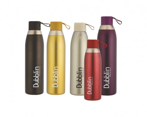 Dubblin Stainless Steel Vacuum Bottle - Dolphin