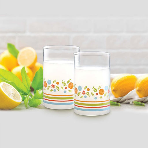 Cello Glass Tumbler - D'ziner Roma Decor Grey - 290 ml - Set of 6